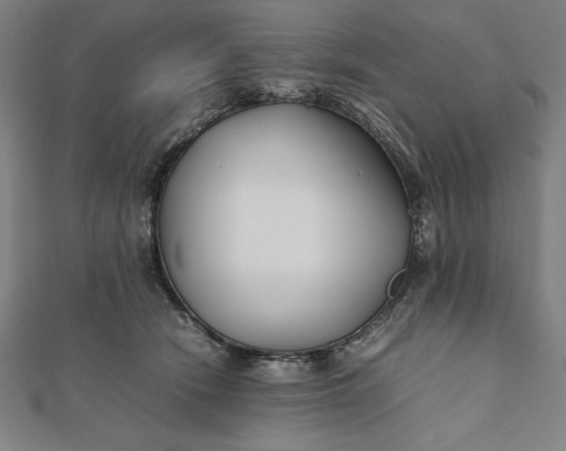 X0000112050466200908181140