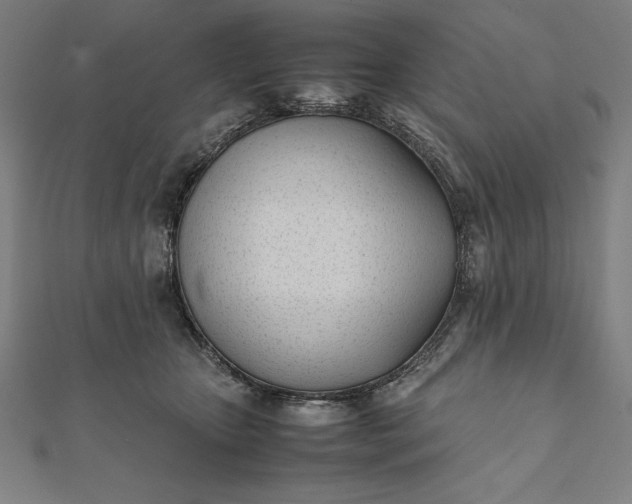 X0000112050467200908181140