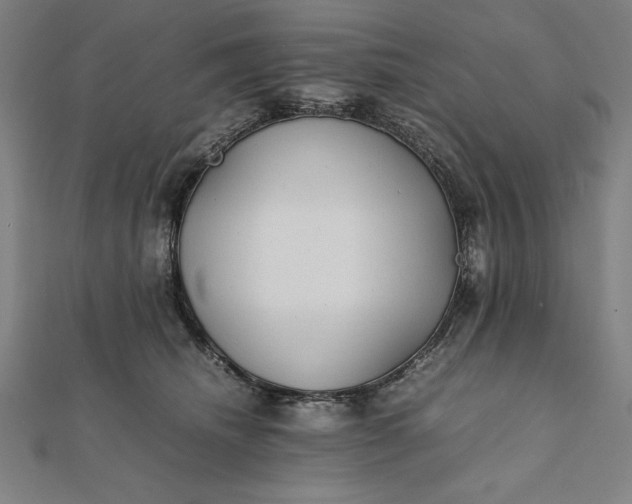 X0000112050468200908181140