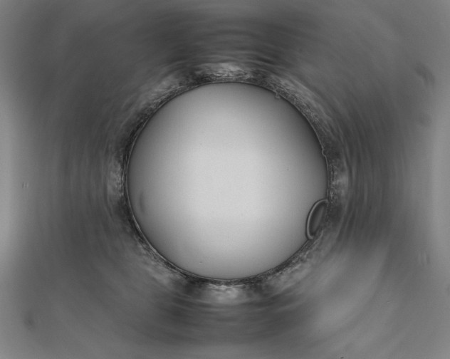 X0000112050469200908181140