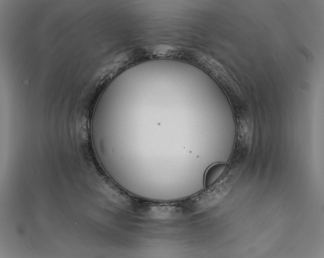 X0000112050470200908181140