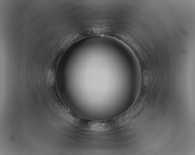 X0000112050471200908181140