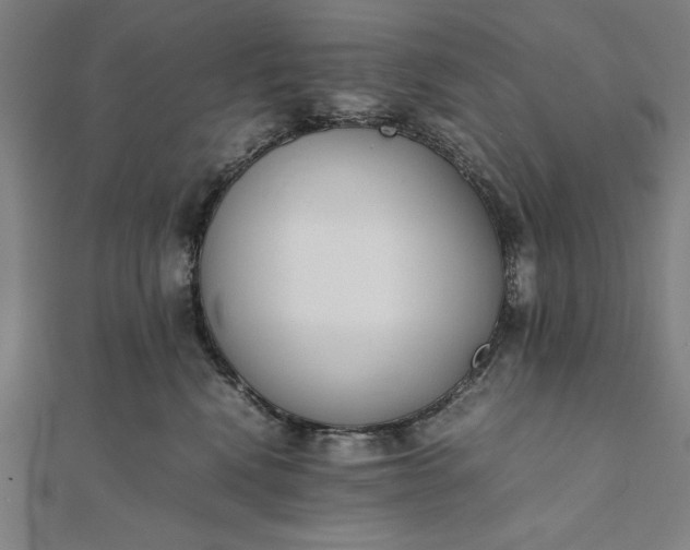 X0000112050472200908181140