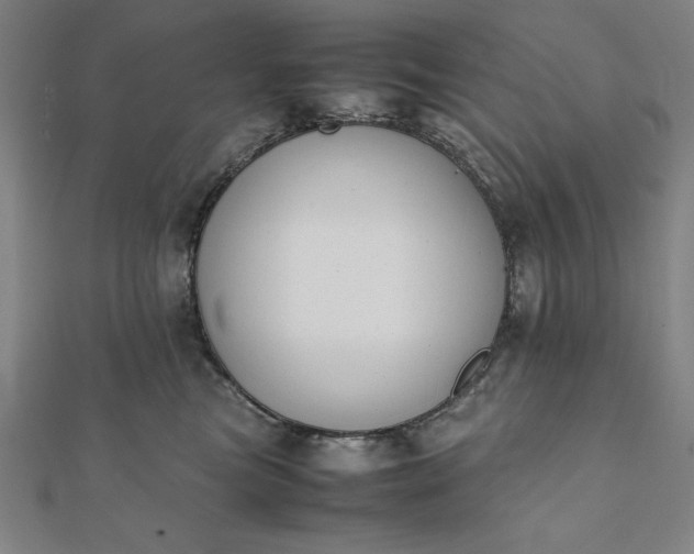 X0000112050473200908181140