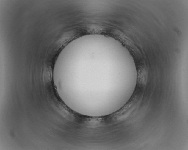 X0000112050474200908181140