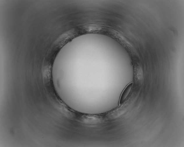 X0000112050475200908181140