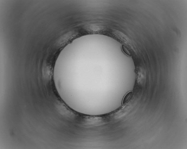 X0000112050476200908181140