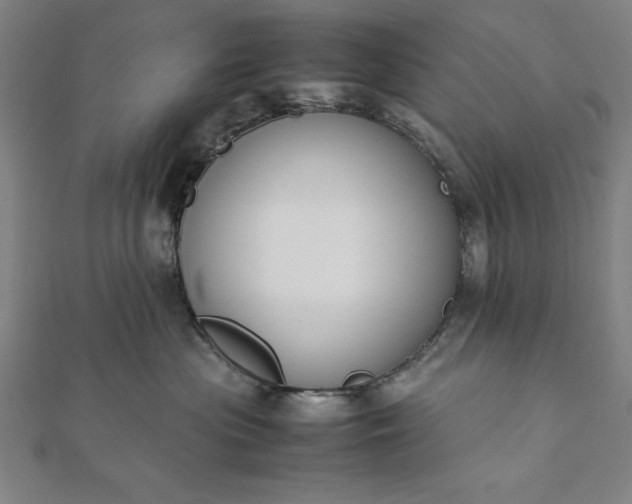 X0000112050477200908181140