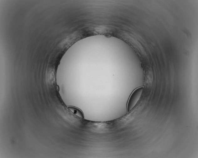 X0000112050478200908181140