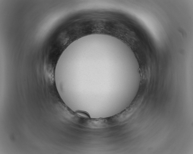 X0000112050479200908181140