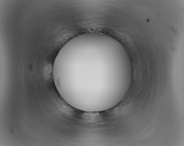 X0000112050480200908181140