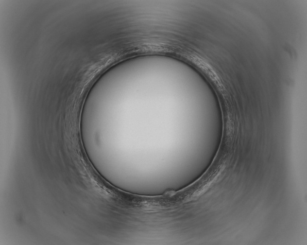 X0000112050481200908181139