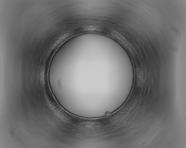 X0000112050482200908181139