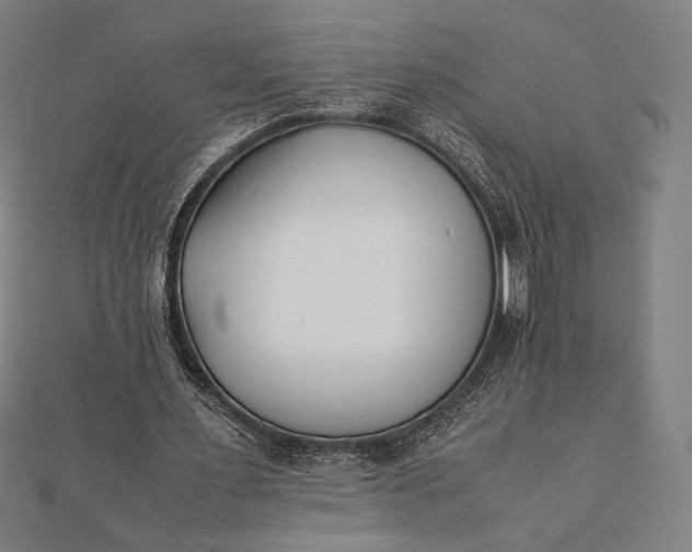 X0000112050483200908181139