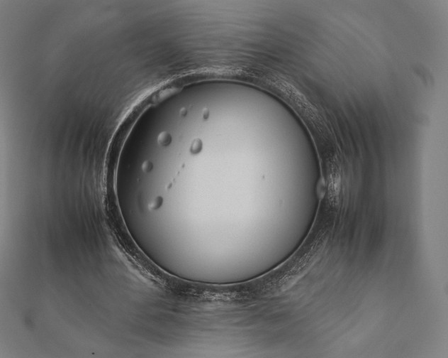 X0000112050484200908181139