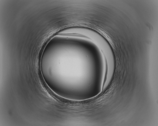 X0000112050485200908181139