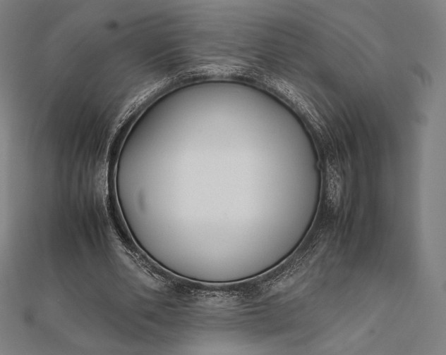 X0000112050486200908181139