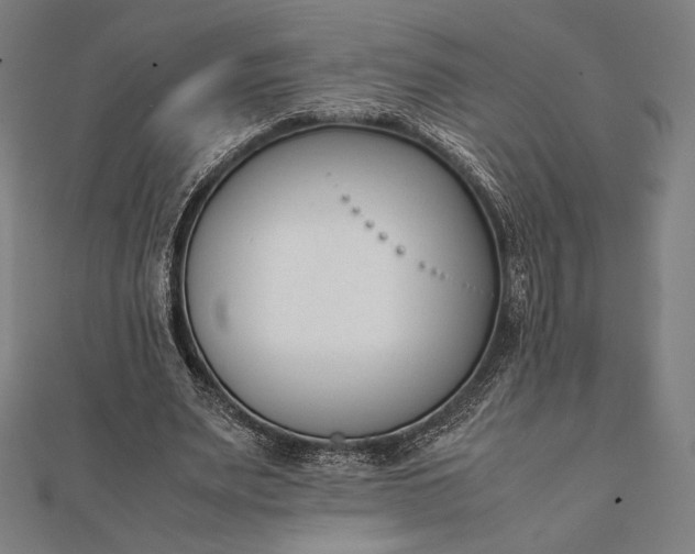 X0000112050487200908181139