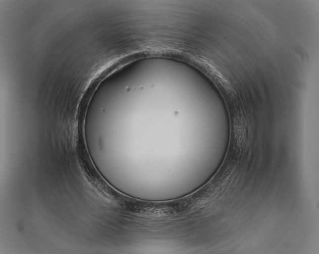 X0000112050488200908181139