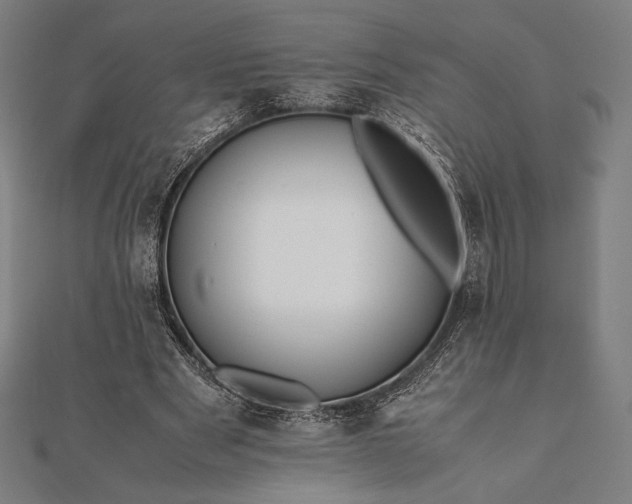 X0000112050489200908181139