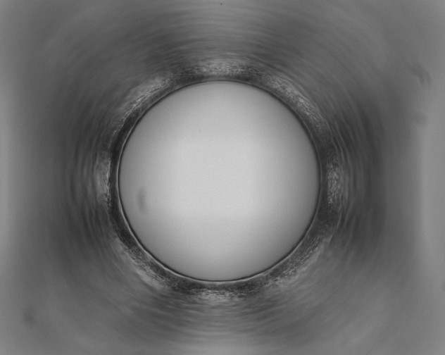 X0000112050490200908181139