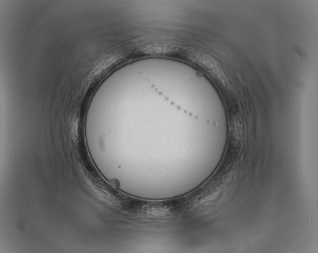 X0000112050491200908181139