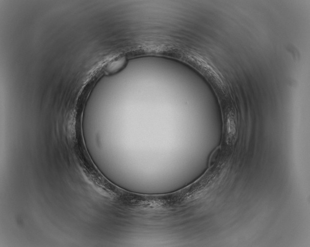 X0000112050492200908181139