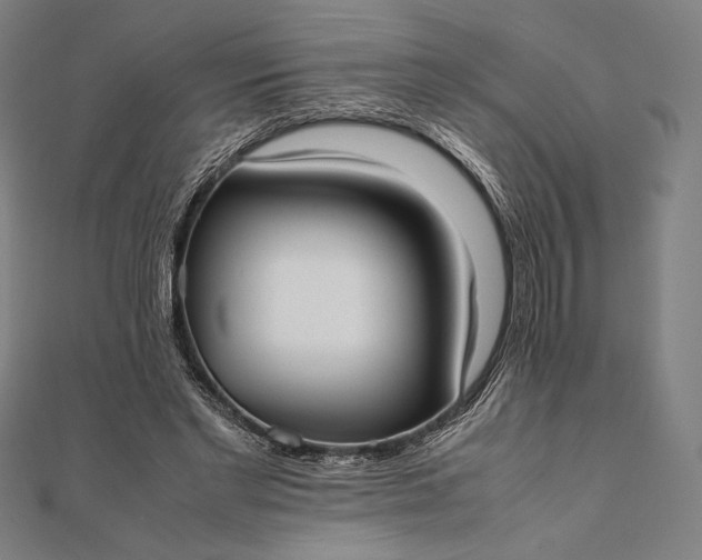 X0000112050493200908181139