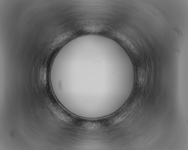 X0000112050494200908181139