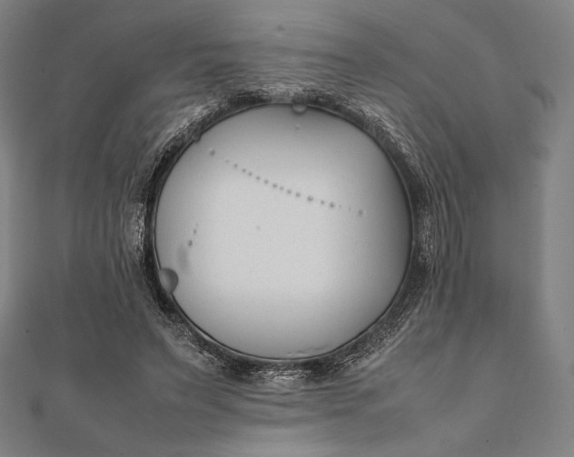 X0000112050495200908181139