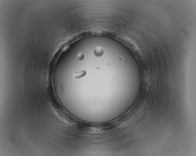 X0000112050496200908181139