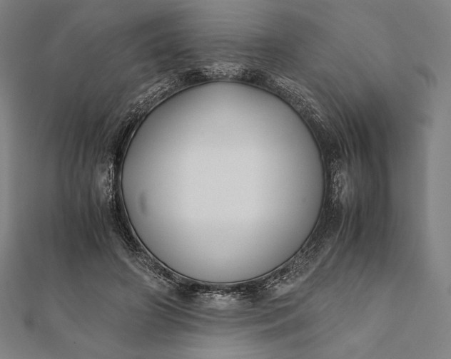 X0000112050498200908181139