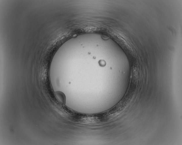 X0000112050499200908181139