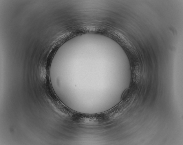 X0000112050500200908181139