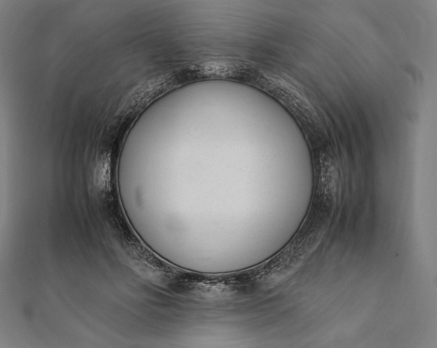 X0000112050502200908181139