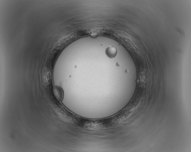 X0000112050503200908181139