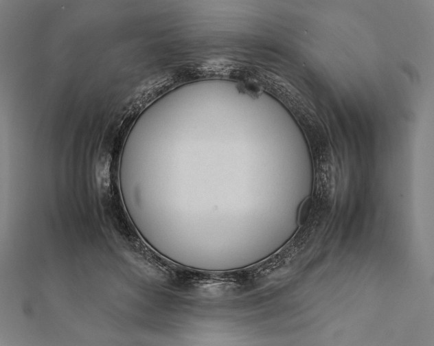 X0000112050504200908181139