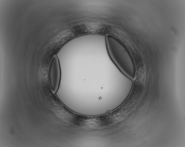 X0000112050505200908181139