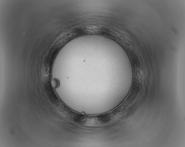 X0000112050507200908181139