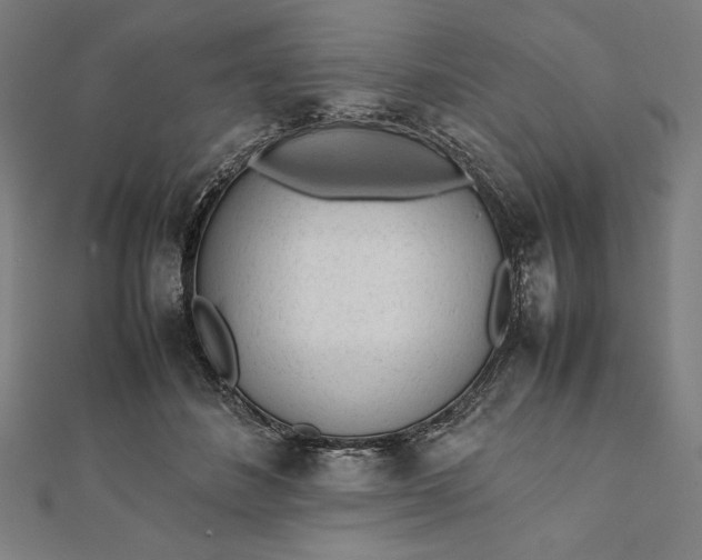 X0000112050508200908181139