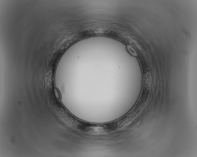 X0000112050509200908181139