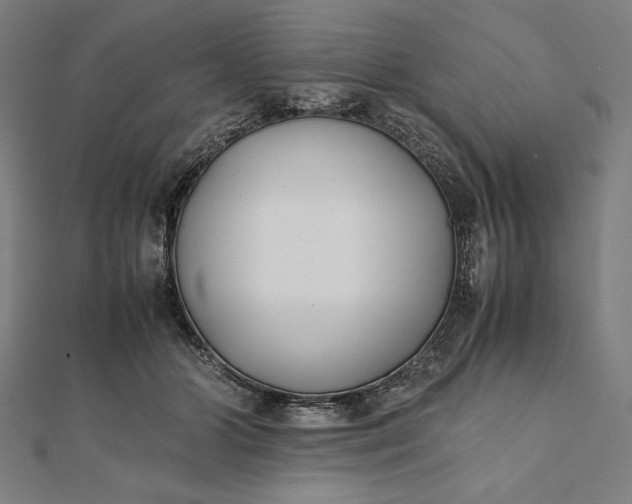 X0000112050510200908181139