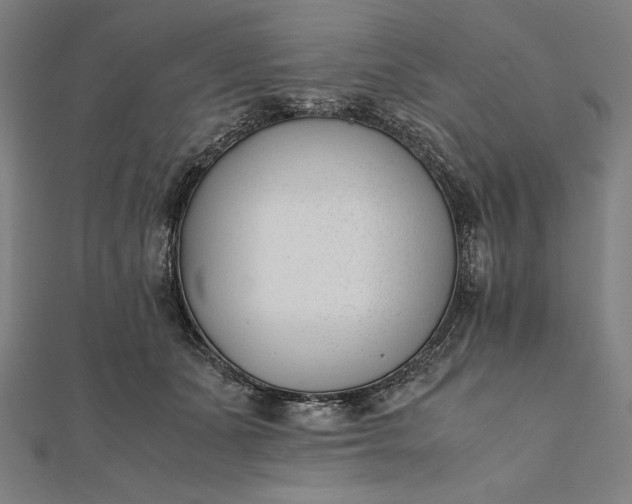 X0000112050511200908181139