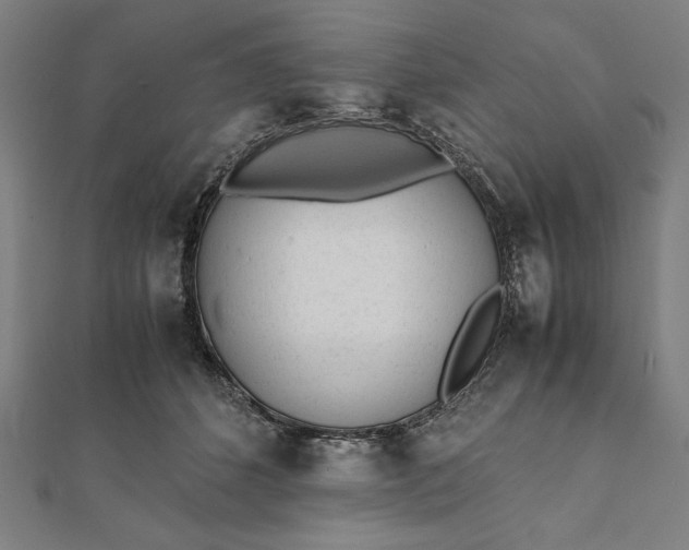 X0000112050512200908181139