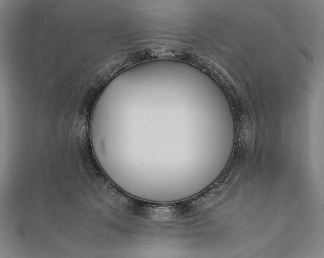 X0000112050513200908181139