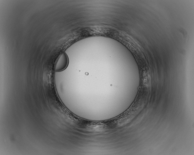 X0000112050514200908181139