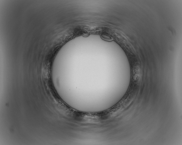 X0000112050515200908181139