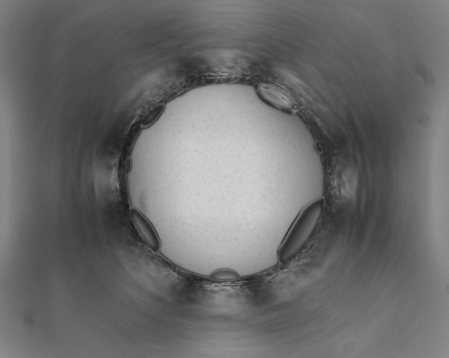 X0000112050516200908181139