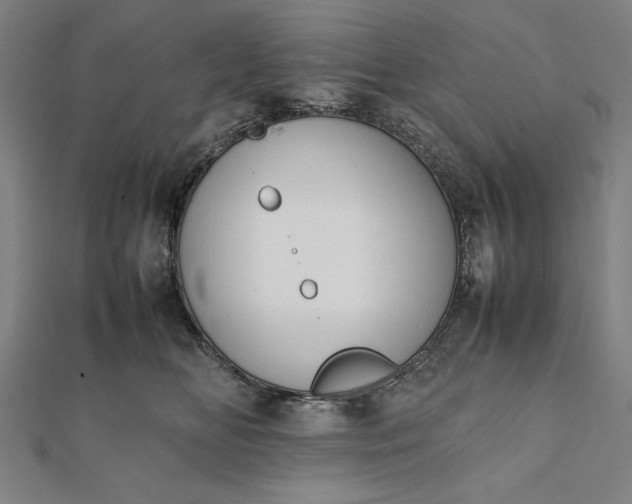 X0000112050518200908181139