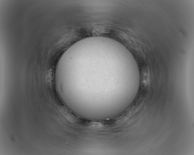 X0000112050519200908181139